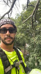 What would you do when a client undermines your work?