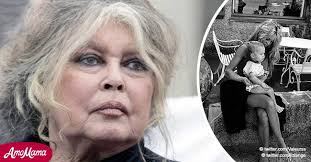 Let, než skutečnou bytost, přesto se 28. Brigitte Bardot Fete Ses 84 Ans Qu Est Il Arrive A Son Fils Unique Nicolas Eleve Par Son Mari