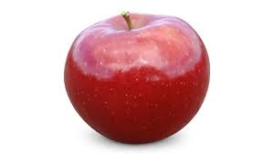 The profusely blooming crab apple tree malus purple prince is a vibrant choice for home landscapes. Red Prince Blue Mountain Fruit Company