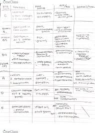 Nut 10 Final Vitamins And Minerals Chart Study Guide