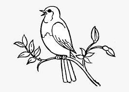 Clipart bird toucan toucan bird toucan clipart bird clipart symbol animal cartoon decorative decoration ornament background icon sketch element nature birds decor colorful ornate drawing cute silhouette. Bird Birds Clipart Black And White Free Best Transparent Singing Bird Clip Art Free Transparent Clipart Clipartkey
