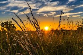 I don't ever want to be apart from you and hope the night grant my wishes. 50 Good Evening Messages For Her Quotes And Images Relish Bay