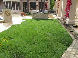 Tourists from all over flock to san diego for its many attractions, such as the san diego zoo, balboa park, seaworld san diego, and the. Yung Sod Installation Project In Rancho Santa Fe Pacific Dreamscapes Of San Diego