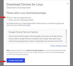 You'll want to keep google chrome updated to the most recent version to receive all the security and navig. How To Install Google Chrome On Linux Command Line Tricks Servo Node