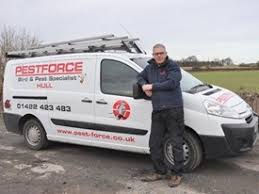 Absolutely no call out charges day or night. Pest Control Pickering Yorkshire Moles Rats Mice Bees Wasps Fleas Bedbugs Pigeons