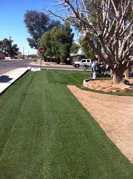 Maybe you would like to learn more about one of these? 15 Best Bermuda Grass Ideas Bermuda Grass Lawn Grass