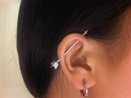 Slade wilson is a very good craftsman and he creates amazing and unique furniture, to his great pleasure. 12 Temporary Body Modifications Ideas Cute Piercings Piercing Tattoo Ear Piercings