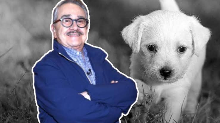 Pedro Sola se disculpa en Ventaneando tras polémicas declaraciones sobre  los perros: “También es la edad”: VIDEO