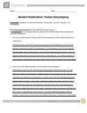 Student exploration human karyotyping gizmo answer key scientists use karyotypesto study the chromosomes in a cell. Student Exploration Human Karyotyping 14 2 Lab Docx Name Date Student Exploration Human In The Human Karyotyping Gizmo You Will Make Karyotypes For Five Individuals