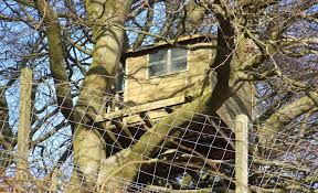 Verbringen sie ihren aufenthalt in luftiger höhe eingebettet in einen außergewöhnlichen garten. Baumhaus Selbst De