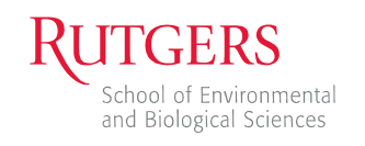 Download the vector logo of the rutgers brand designed by in encapsulated postscript (eps) format. Movies Videos Photos Logos Templates Rucool Rutgers Center For Ocean Observing Leadership