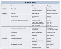 Causes Of Jaundice Causes Of Jaundice Nursing Information Gilbert S Syndrome