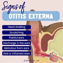 Image result for Acute Otitis Externa