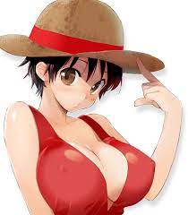 Female Luffy | One Piece Hentai Image