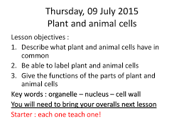 We did not find results for: Intro Lesson On Plant And Animal Cells For Year 7 Teaching Resources