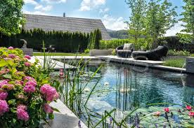 Bei der neuanlage oder umgestaltung ihres gartens bieten wir ihnen eine sachgerechte und kompetente ausführung. Referenz Garten Mit Schwimmteich Parc S