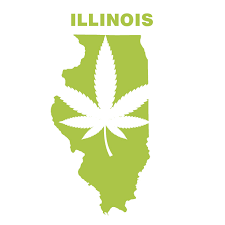 The process in which to receive your medical marijuana card in illinois is simple. Medical Marijuana And Parenting Time Dupage County Divorce Lawyer Blog June 25 2018