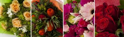 Check spelling or type a new query. Fresh Flowers Countdown Supermarkets