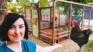 Building The Ultimate Chicken Coop For Our Backyard Chickens Youtube