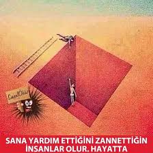 Sosyal Okuz Google Komik Gercekler Okuma