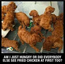 Chicken Tenders Album On Imgur Udało ci się przewinąć na sam dół, aby dowiedzieć się więcej o funny chicken meme? chicken tenders album on imgur