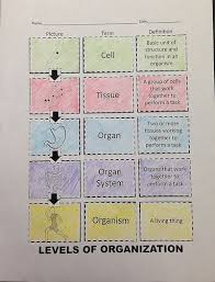 Pin On Tpt Science Lessons