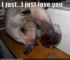 Animal Comedy I Love You Animal Comedy Animal Comedy Funny Animals Animal Gifs Cheezburger