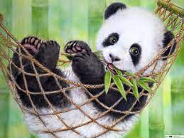 Be Panda Tải Xuống Hinh Nền Hd