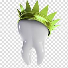 Tooth Wearing Crown Crown Dentistry Bridge Dental