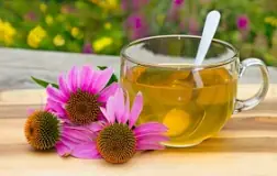 Image result
