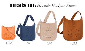 Hermes 101 Hermes Evelyne Bag Pursebop