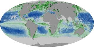 chlorophyll sea surface temperature