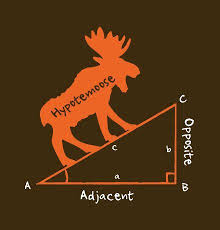 Who Knew That Longest Side On A Right Triangle Was Called A Hypotemoose Get This Funny Math T Shirt Today This T Shirt Has Math Humor Math Jokes Math Tshirts