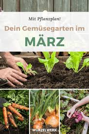Es sind noch reste vom laub vorhanden und das erste unkraut macht sich auch schon. Aussaat Pflanzen Im Marz Beispiel Pflanzplan Wurzelwerk