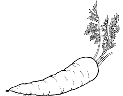Vegetables Carrots Are Good For The Body Coloring For Kids