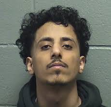 Backyard Chickens Get OK In Des Plaines