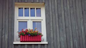 Sun loving flowers for window boxes. 10 Flowers For East Facing Window Boxes Trinjal Com