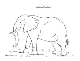 Glue the page to a thin piece of cardboard. African Elephant Coloring Page By Mama Draw It Tpt