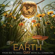 Keep scrolling to watch the lesson plan, complete the activities, take the earth day quiz and get your earth day expert certificate! Yka2qkzyp8hspm