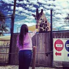 Kayla Myrick Myrickkayla - Profile Pinterest