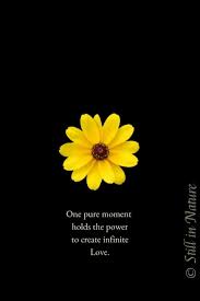  English Quotes Inspirational Quotes Wallpapers Nature Quotes Inspirational Quotes