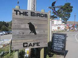 Maybe you would like to learn more about one of these? The Birds Cafe In Bodega Bay Review By Melanie Wong The Official Bodega Bay Area Website