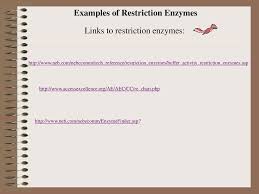 Restriction Digest Laboratory Ppt Download