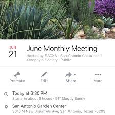 Sacxs stands for san antonio cactus & xerophyte society. Sanantoniocactusandxerophytesociety Instagram Posts Photos And Videos Picuki Com