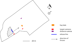 Throwers should have perfect power skills and coordination abilities. External Ballistics Of Pleistocene Hand Thrown Spears Experimental Performance Data And Implications For Human Evolution Scientific Reports