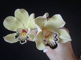 Green Cymbidium Orchids Clay Flowers Sugar Flowers Tutorial Sugar Flowers Cake