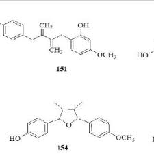 Image result for Terminalia brachystemma ×  sericea