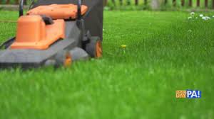 Let our team of experienced landscapers, arborists, exterminators, and lawn care professionals provide custom solutions for your. Talking Lawn Care With Tomlinson Bomberger Abc27