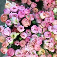 Our bozeman gift basket company and flower shop local florist offers the world's largest selection of handcrafted gift baskets and flower for same day delivery in we deliver flowers and balloons daily to: Ranunculus Amandine Pastel Gorgeous Sold In Bunches Of 20 Stems From The Flowermonger Diy Wedding Flowers Wholesale Fresh Flowers Pink Wedding Flowers