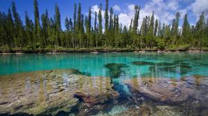 Neukaledonien ist eine dieser seltenen idyllen, die vom tourismus noch einigermaßen verschont geblieben sind. Neukaledonien Urlaub Jetzt Gunstig Buchen Bei Holidaycheck